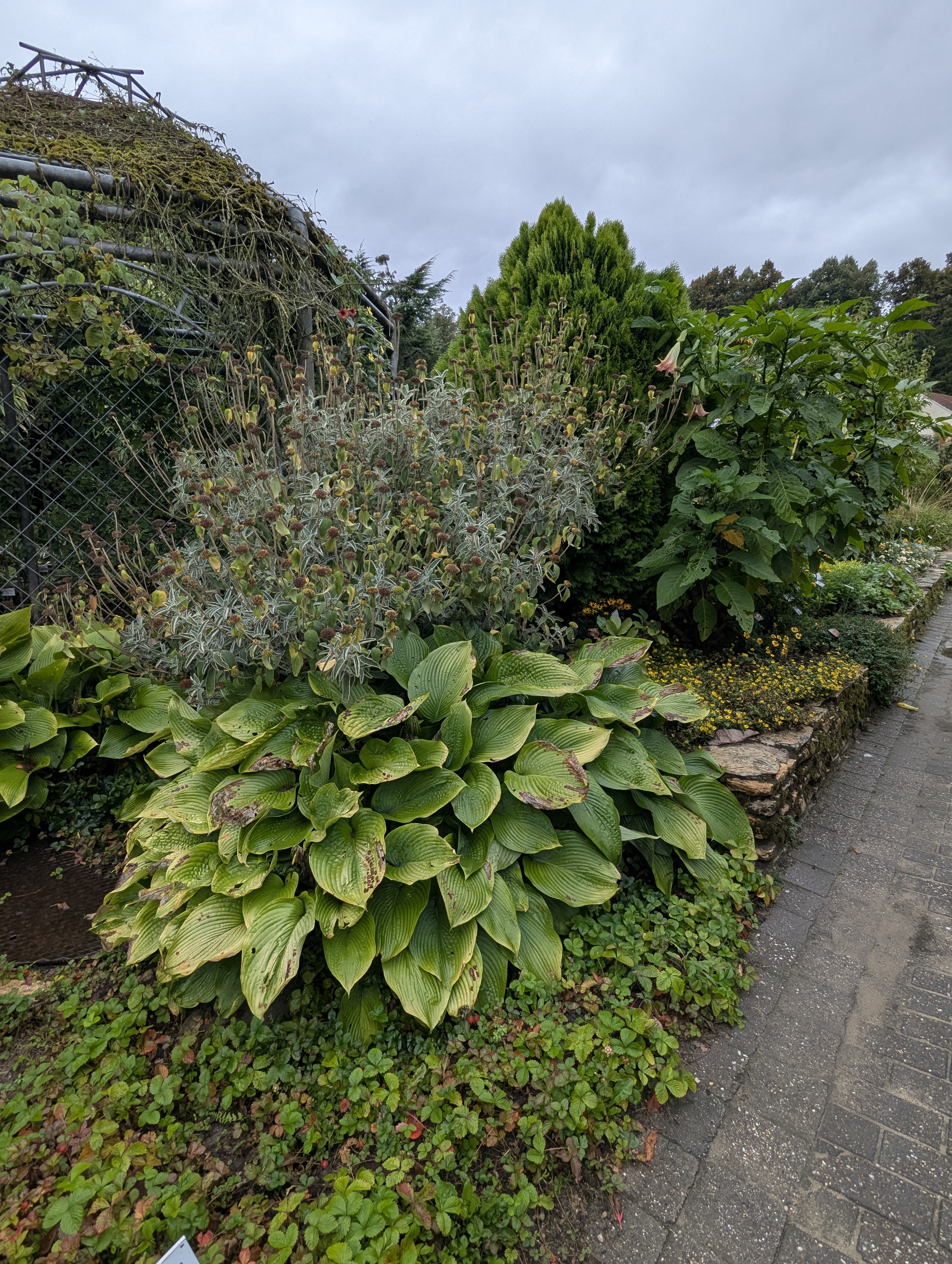 Botonic Gardens, Muenster, Germany